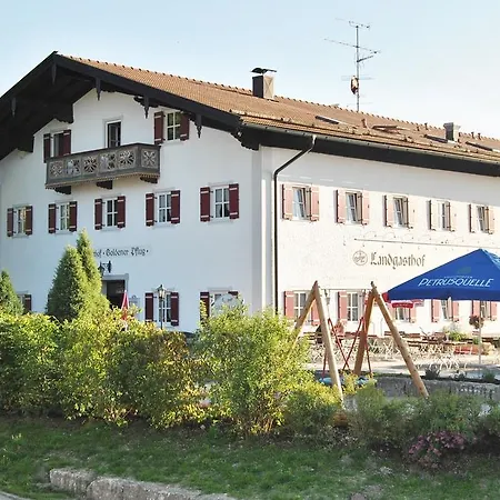 Hotel Landgasthof Goldener Pflug 3*