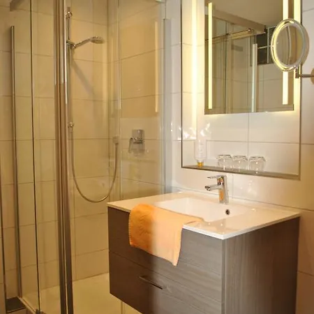 Landgasthof Goldener Pflug Hotel 3*
