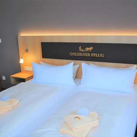 Landgasthof Goldener Pflug Hotel Frasdorf