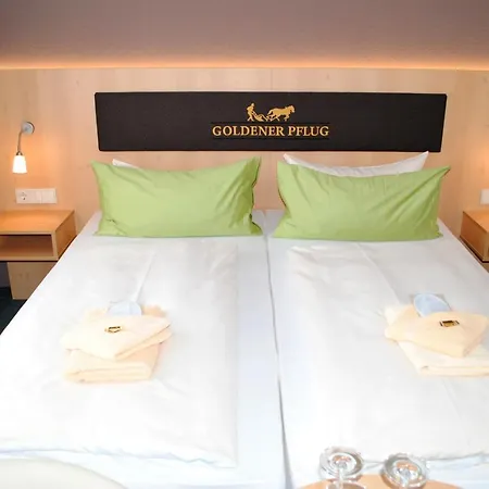 Hotel Landgasthof Goldener Pflug