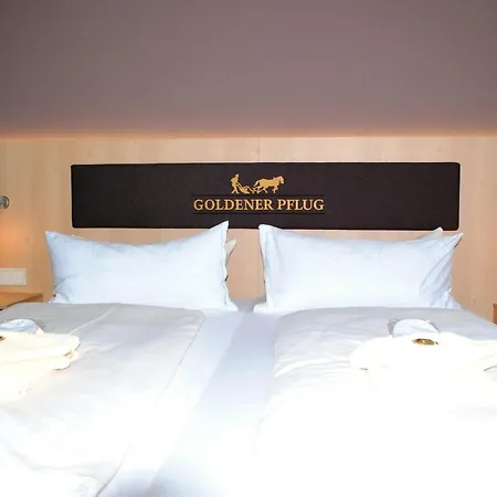 Landgasthof Goldener Pflug Hotel