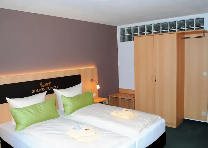 Hotel Landgasthof Goldener Pflug