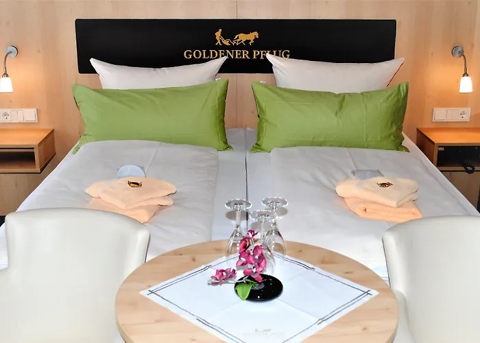 Landgasthof Goldener Pflug Hotel