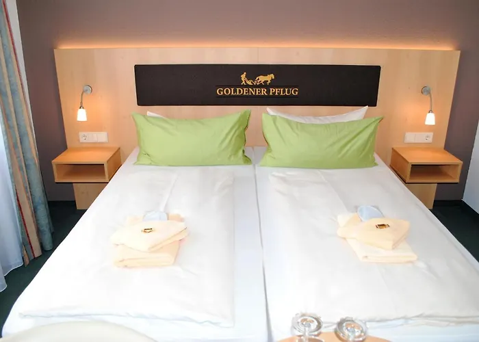 Hotel Landgasthof Goldener Pflug