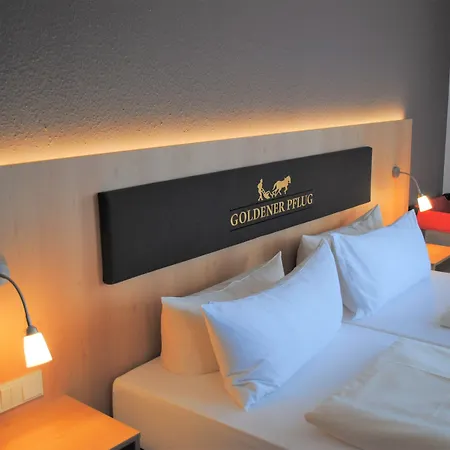 Hotel Landgasthof Goldener Pflug