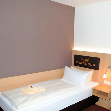 فندق Landgasthof Goldener Pflug 3*
