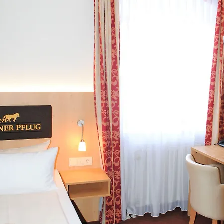 Hotel Landgasthof Goldener Pflug