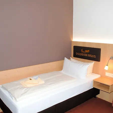 Landgasthof Goldener Pflug 3* فراسدورف