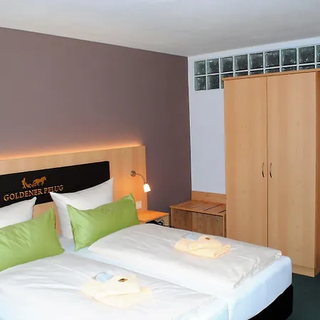 Hotel Landgasthof Goldener Pflug