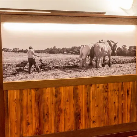 Landgasthof Goldener Pflug فندق 3*