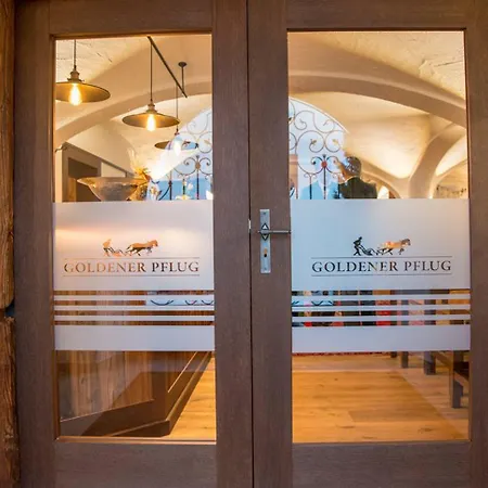 Landgasthof Goldener Pflug فراسدورف