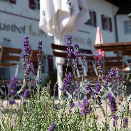 Landgasthof Goldener Pflug فندق 3*