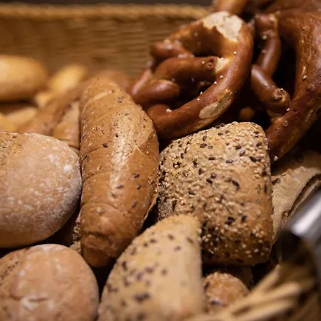 فندق Landgasthof Goldener Pflug 3*