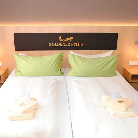 Landgasthof Goldener Pflug Hotel 3*
