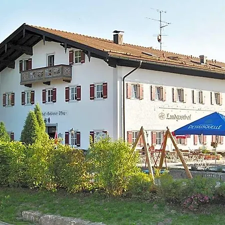Landgasthof Goldener Pflug 호텔