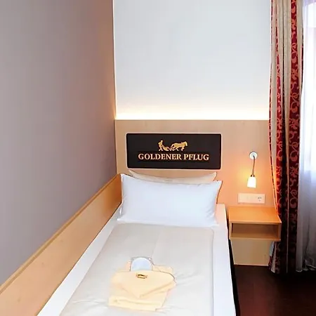 Landgasthof Goldener Pflug فندق فراسدورف
