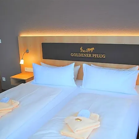 Landgasthof Goldener Pflug 프라스도르프