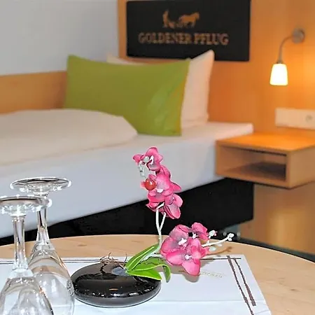 Landgasthof Goldener Pflug 호텔 3*
