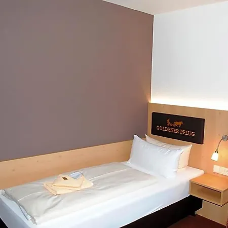 Landgasthof Goldener Pflug 호텔 프라스도르프