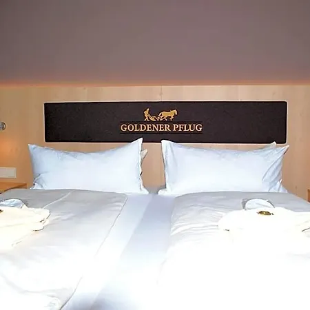 호텔 Landgasthof Goldener Pflug 3*