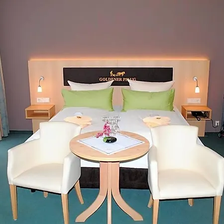Landgasthof Goldener Pflug 호텔 3*