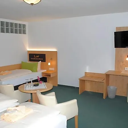 Landgasthof Goldener Pflug 3* 프라스도르프