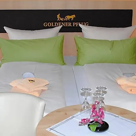 Landgasthof Goldener Pflug 3* 프라스도르프