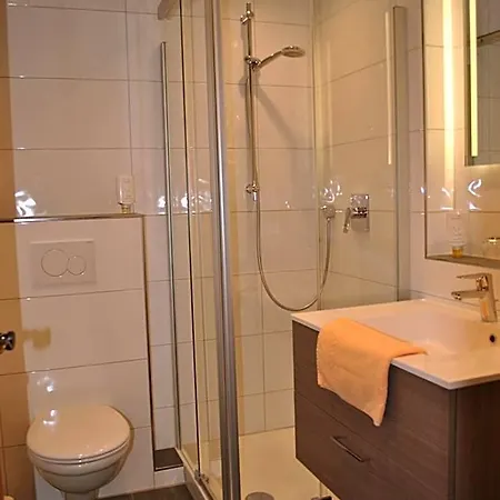 فندق Landgasthof Goldener Pflug 3*