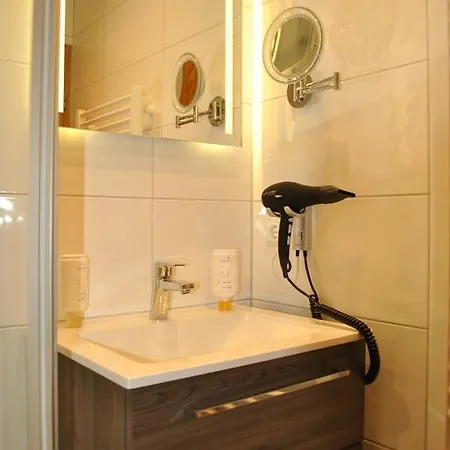Landgasthof Goldener Pflug Hotel 3*