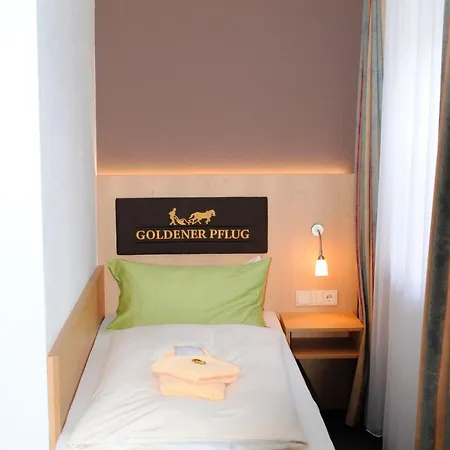Hotell Landgasthof Goldener Pflug