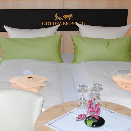 Hotel Landgasthof Goldener Pflug 3*