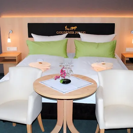 Landgasthof Goldener Pflug