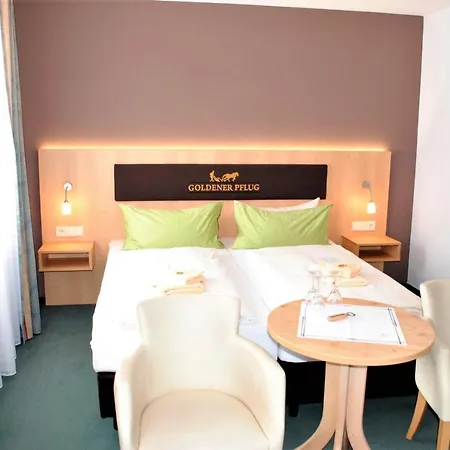 Landgasthof Goldener Pflug فندق فراسدورف