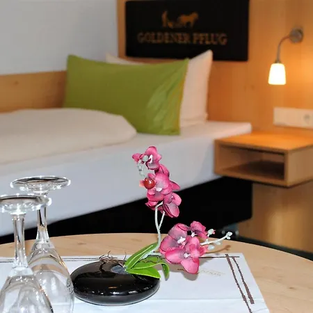 Landgasthof Goldener Pflug 3*