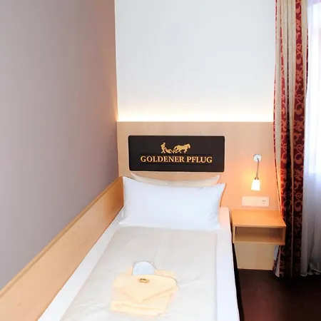 Hotel Landgasthof Goldener Pflug Frasdorf