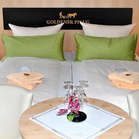 فندق Landgasthof Goldener Pflug