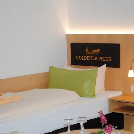 فندق Landgasthof Goldener Pflug 3*