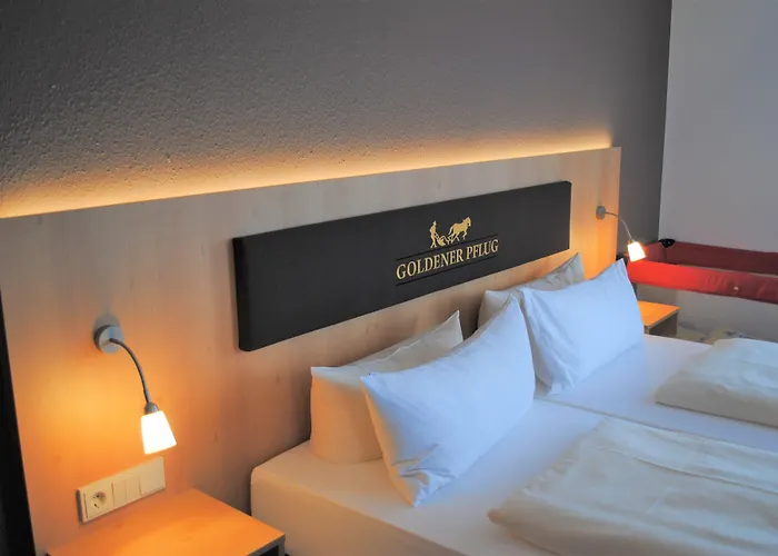 Szálloda Landgasthof Goldener Pflug