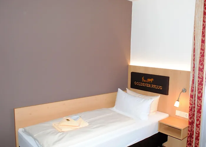Szálloda Landgasthof Goldener Pflug 3*