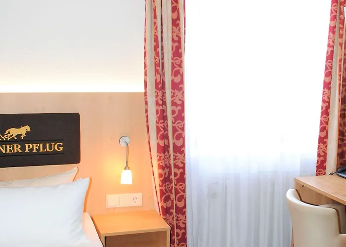 Szálloda Landgasthof Goldener Pflug