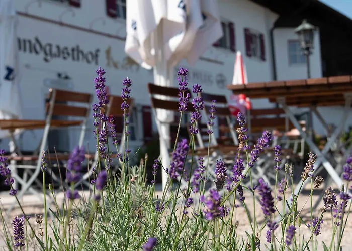 Landgasthof Goldener Pflug Szálloda 3*