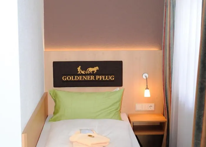 Szálloda Landgasthof Goldener Pflug