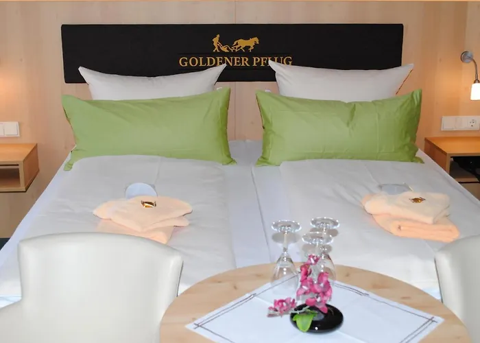 Szálloda Landgasthof Goldener Pflug 3*