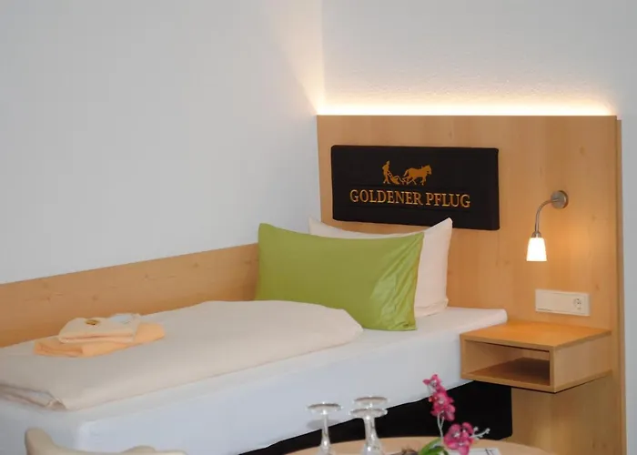 Szálloda Landgasthof Goldener Pflug 3*